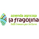 Logo Azienda Agricola la Fragolina