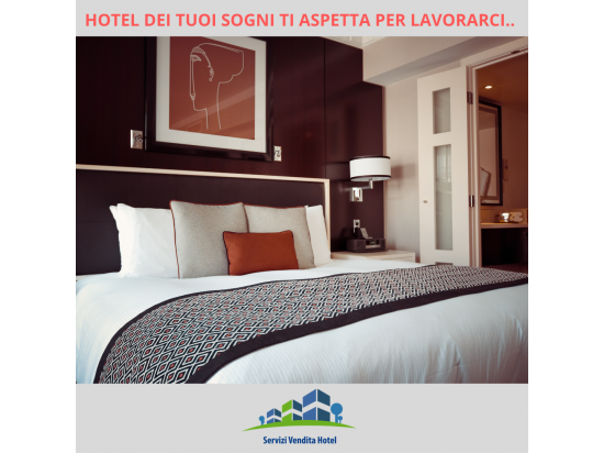 Hotel di varie tipologie e soluzioni metto a dispo...